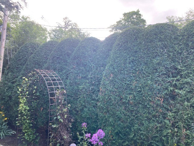 Maintenance Trimming Installation Wilmette - Landscaping