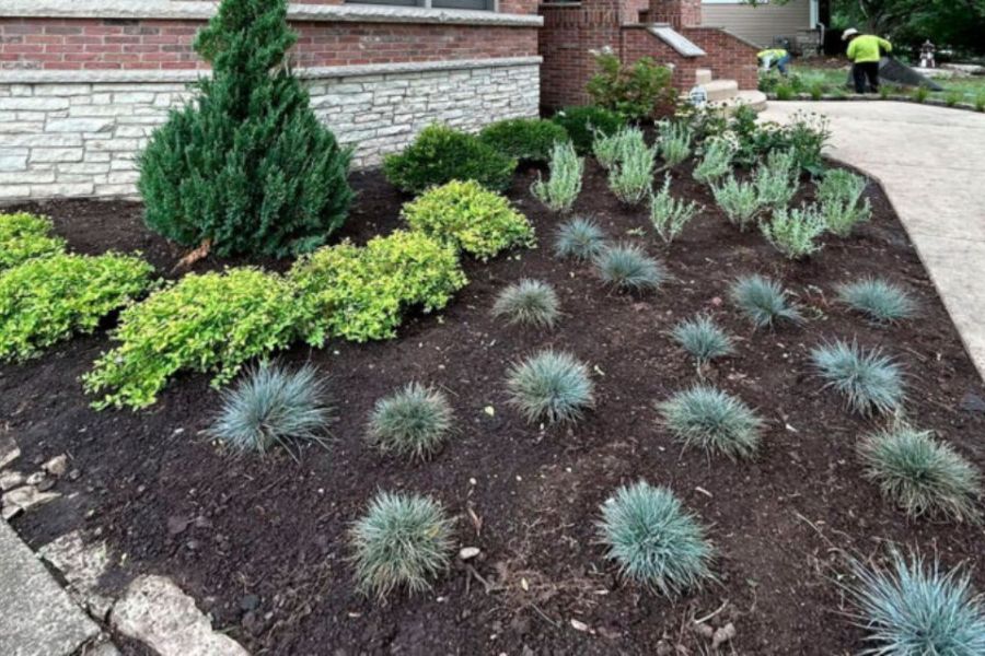 Bed Installation Mt Prospect - Landscaping