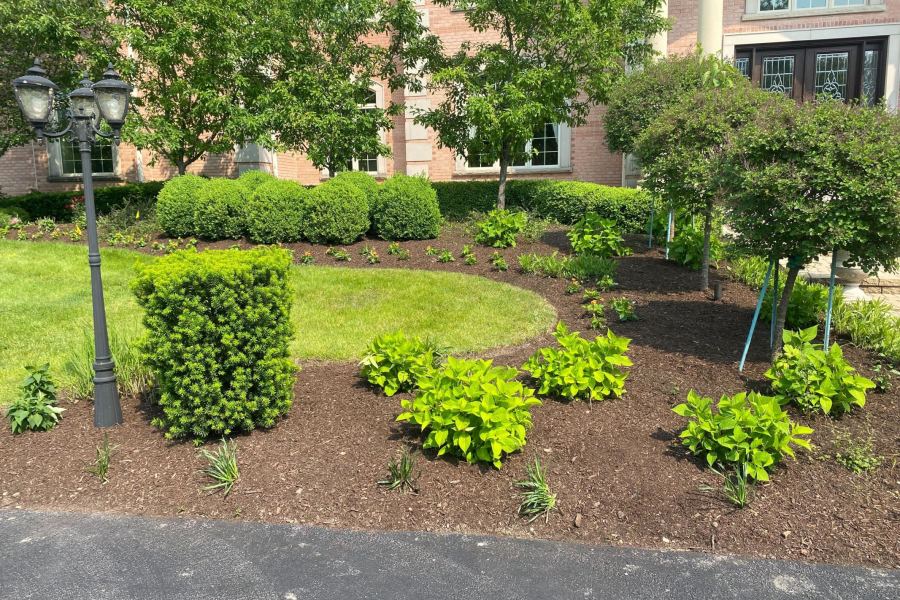 Bed Installation and Mulch Glencoe - Landscaping