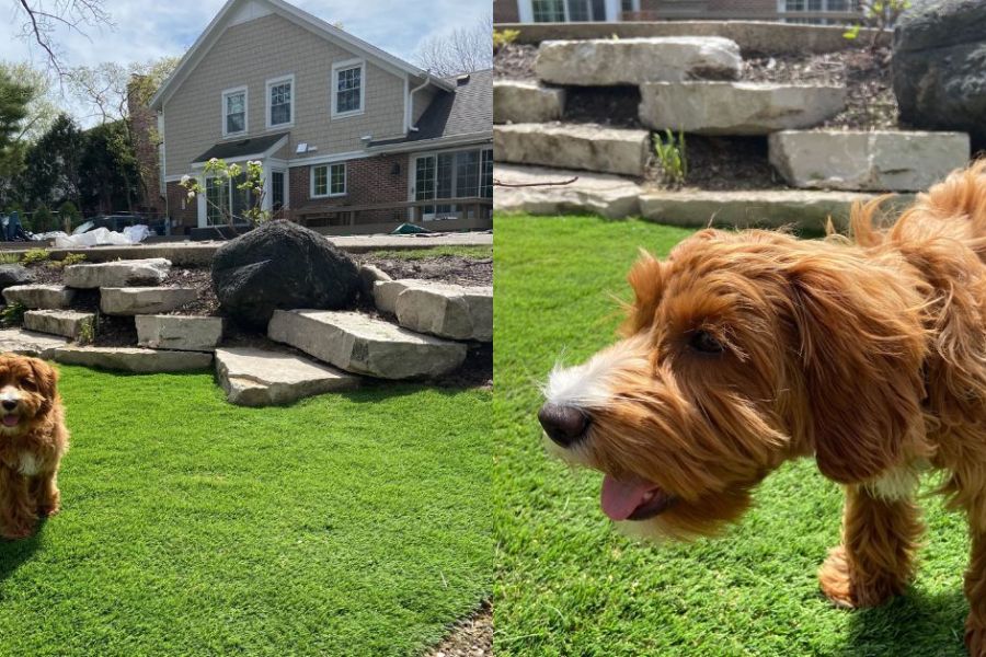 Artificial Turf in Northbrook - Lanscaping