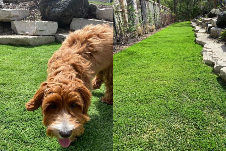 Artificial Turf in Northbrook - Lanscaping