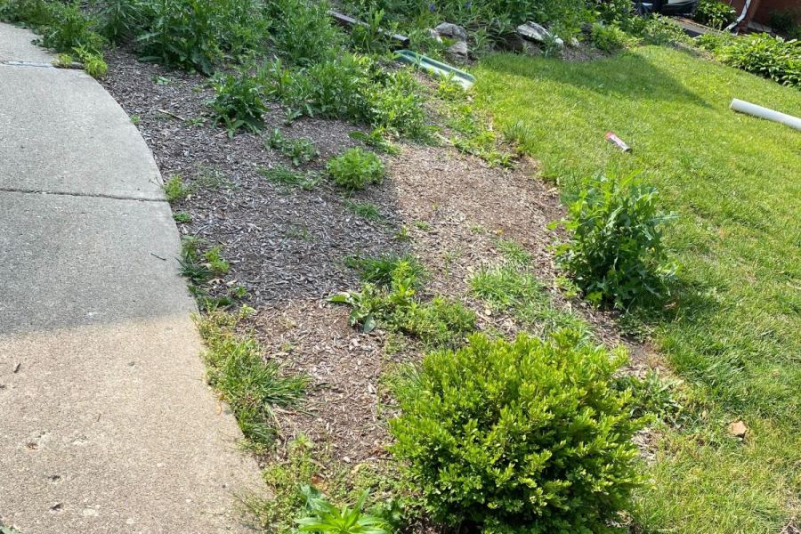 Butterfly Garden Bed Installation BEFORE Glencoe - Landscaping