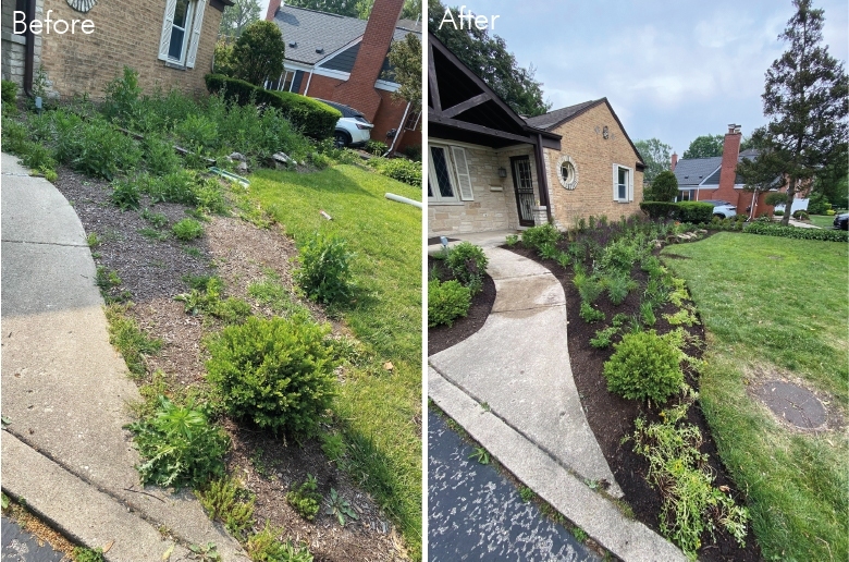 Butterfly Garden Bed Installation Glencoe - Landscaping