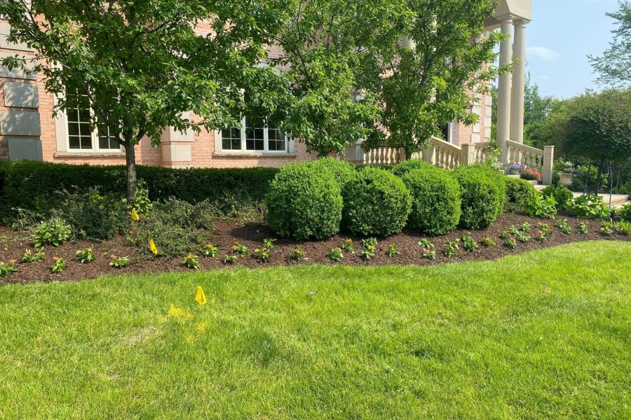 Flower and Shrub with Mulch Installation Glencoe - Landscaping