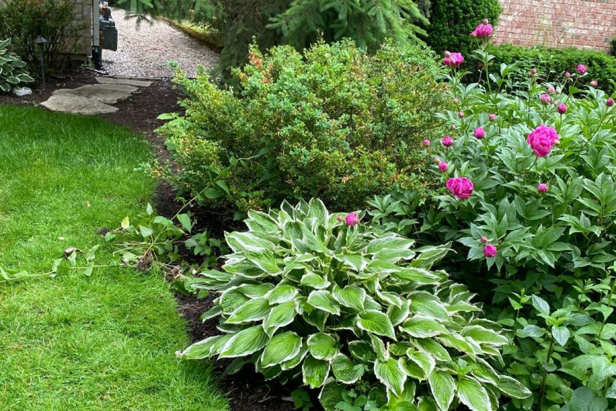 Landscape Design install Glencoe - Landscaping