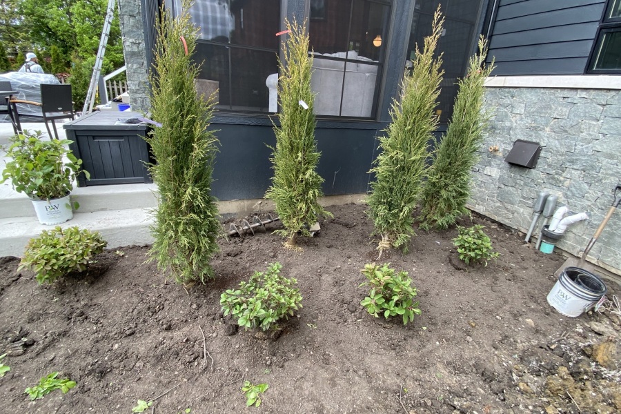 Landscape Installation Plants in Park Ridge - Landscaping