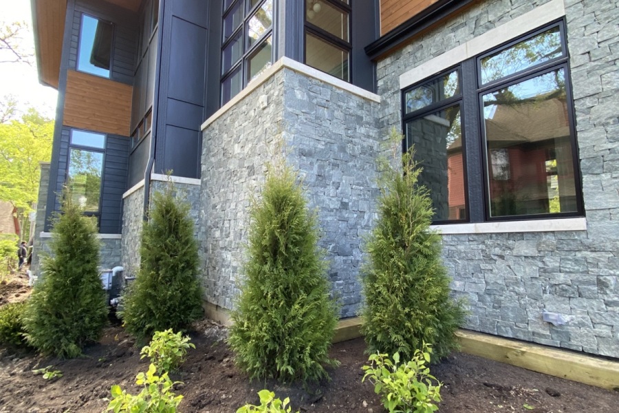 Landscape Installation Plants in Park Ridge - Landscaping