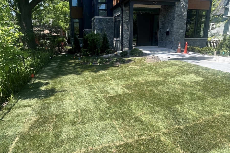 Landscape Installation sod In Park Ridge - Landscaping