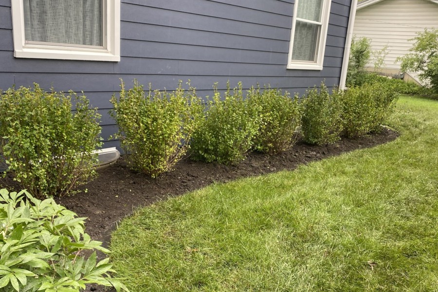 Landscape install Northfield - Lanscaping