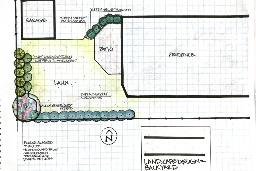 Installation Design Sketch - Landscaping