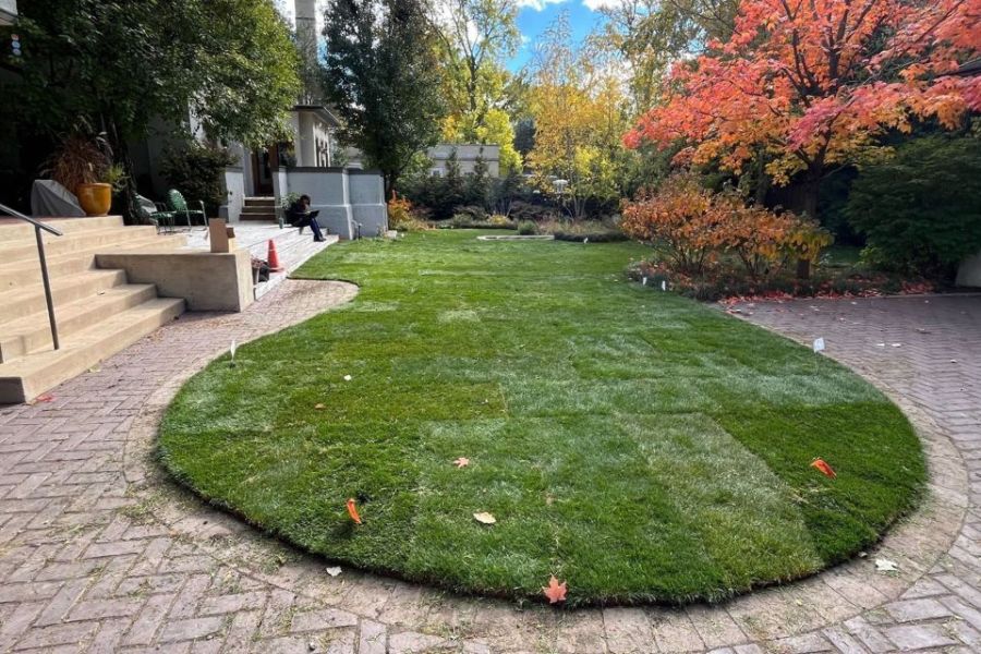 Kenilworth backyard Landscape installation - Landscaping