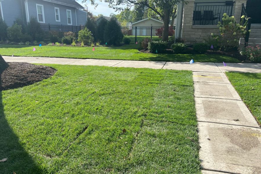 Landscape Design Installation Park Ridge - Landscaping