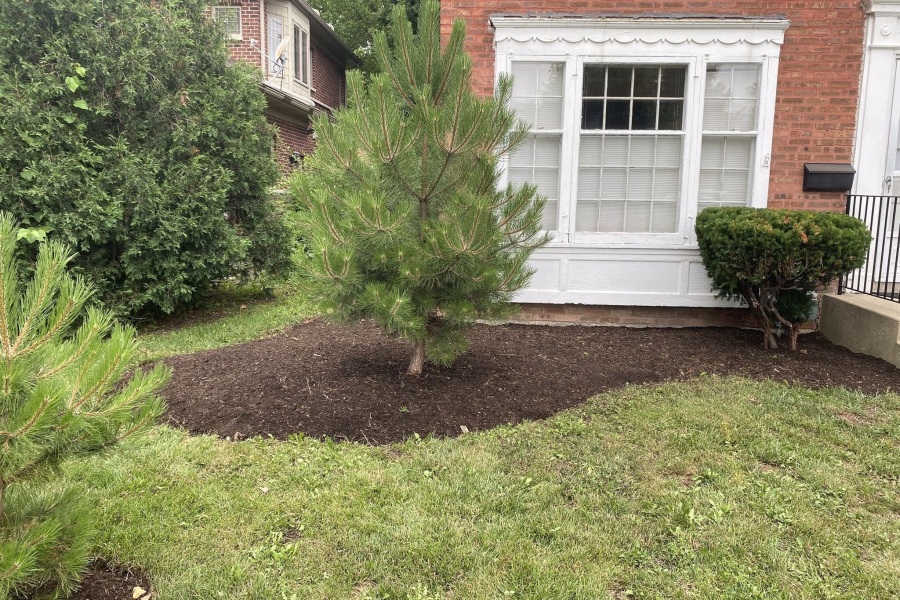 Landscape Design Installation Glenview  - Landscaping