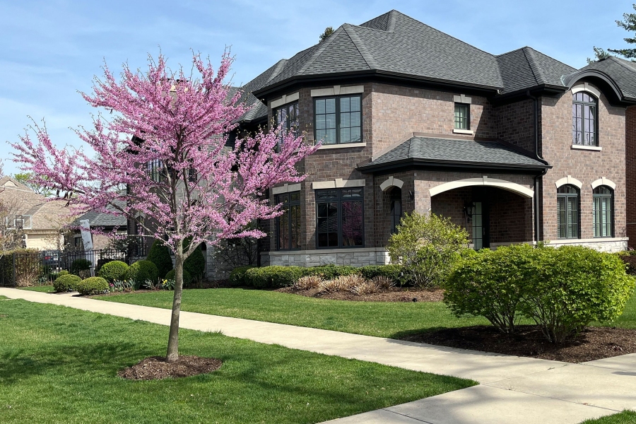 Landscape Installation,  Front Yard Northfield  - Landscaping