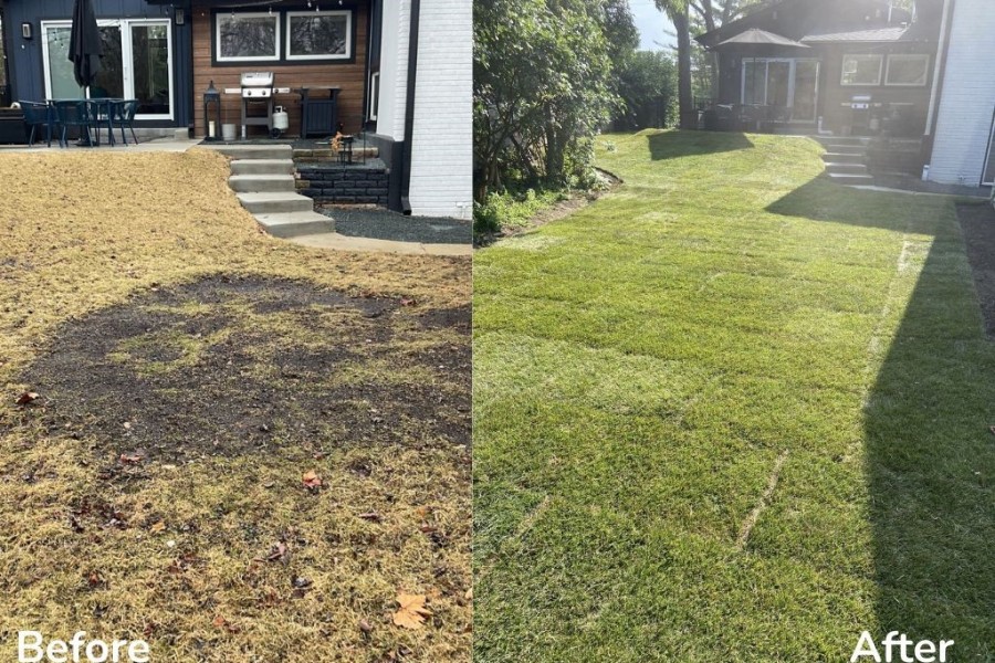 Landscape Installation BeforeandAfter In Glencoe - Landscaping