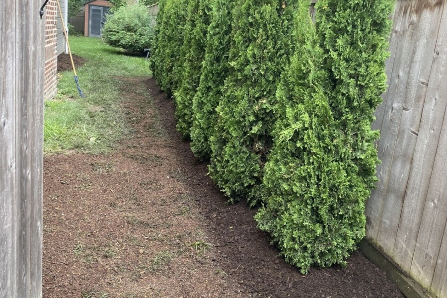 Landscape Installation Barrington - Landscaping