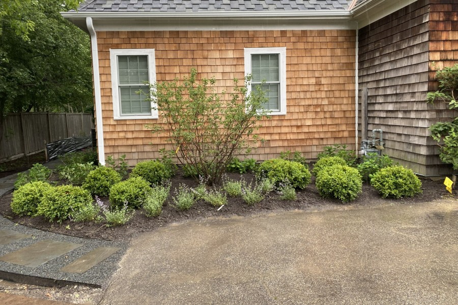 Landscape Plants Installation in Inverness - Lanscaping