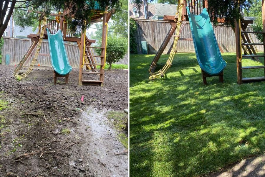 Landscape Sod Installation in Edison Park - Landscaping