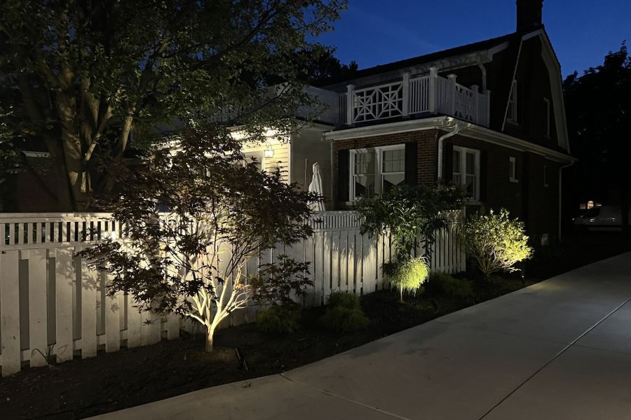 Landscape Up Lighting1 - Landscaping