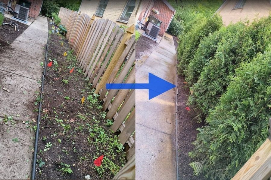 Maintenance Trimming Installation Winnetka - Landscaping