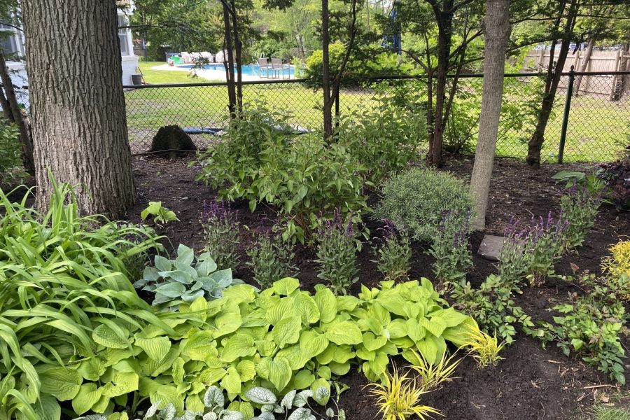 Maintenance Trimming Installation Winnetka - Landscaping