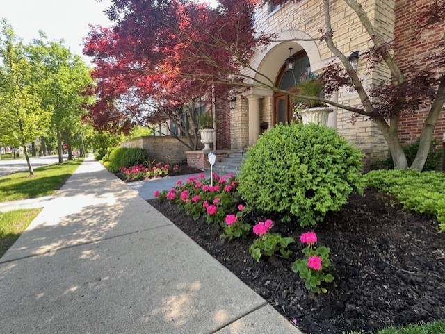 Landscape Design Installation Kenilworth - Landscaping