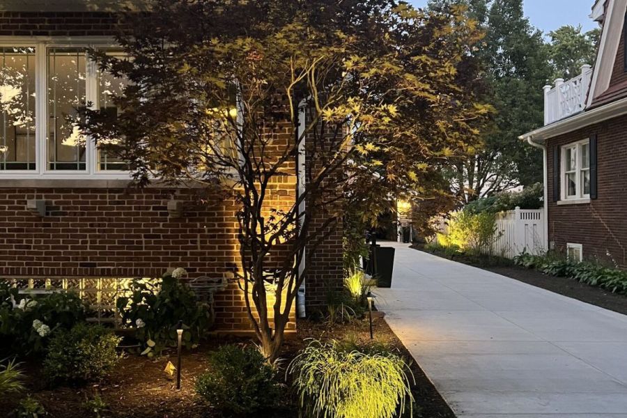 Landscape up Lighting - Landscaping