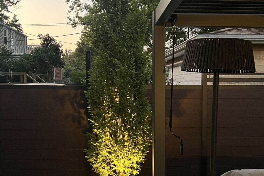 Landscape up Lighting - Landscaping