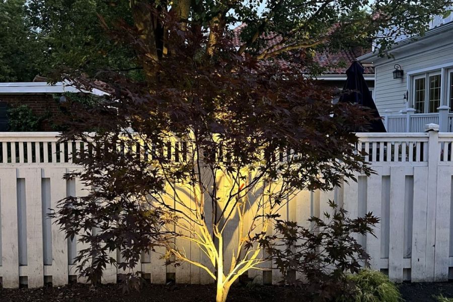 Landscape up Lighting - Landscaping