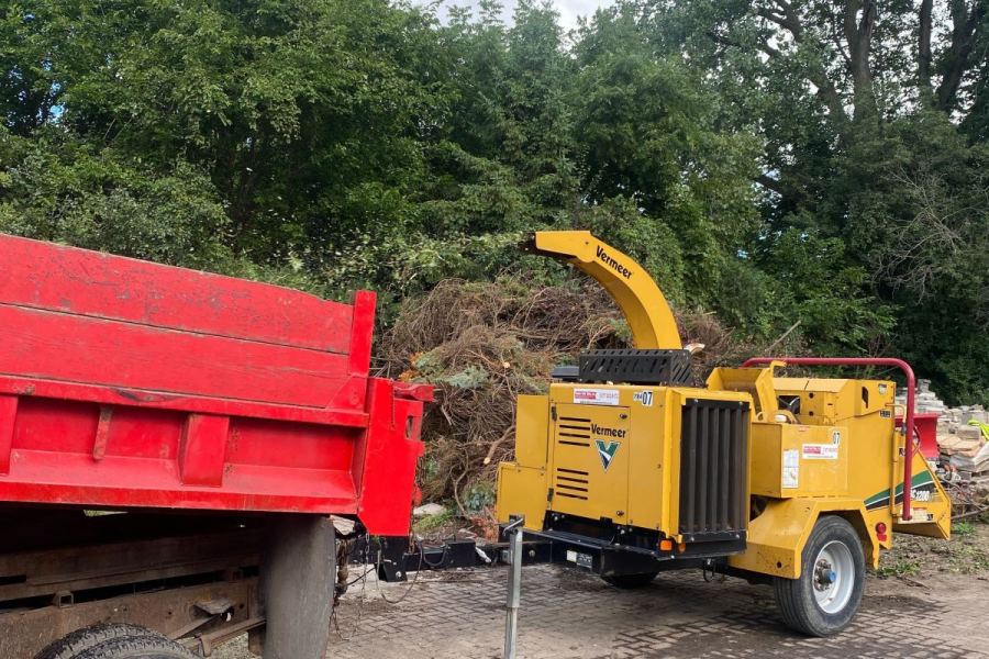 Maintenance Tree Trimming - Landscaping