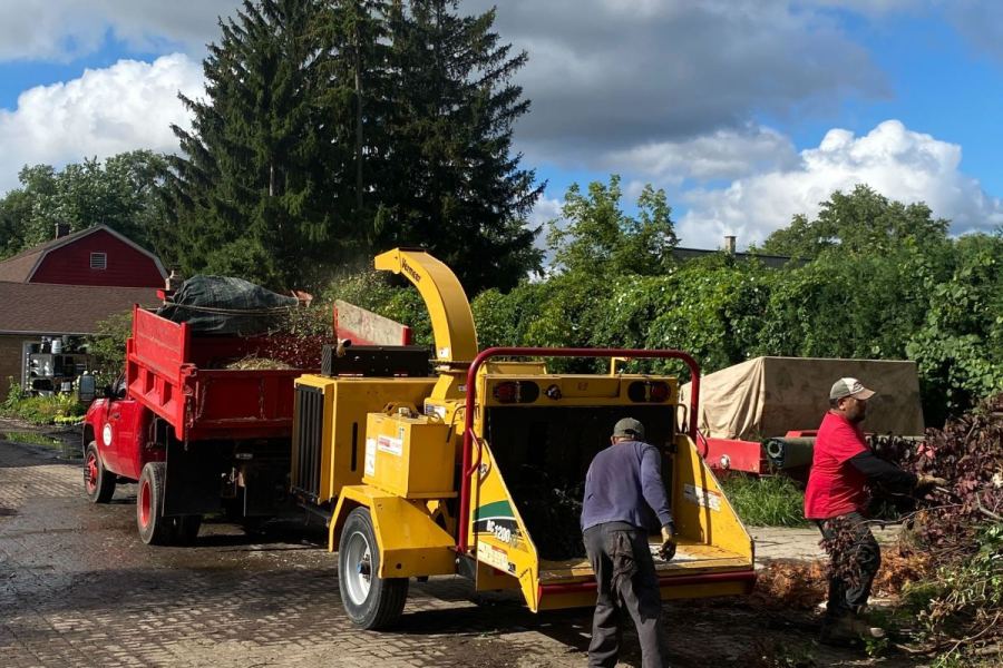 Maintenance Tree Trimming - Landscaping