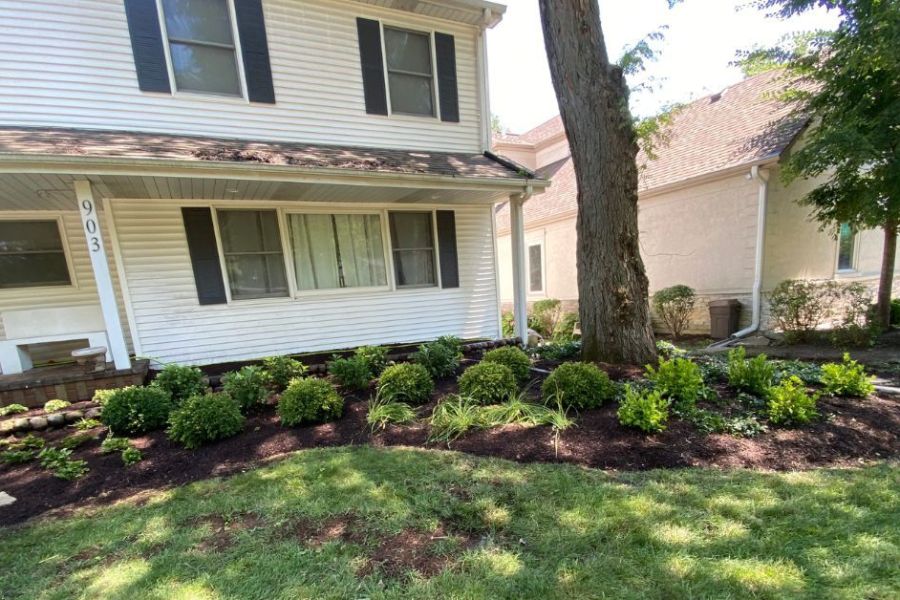 Maintenance Trimming Install in Glenview - Lanscaping