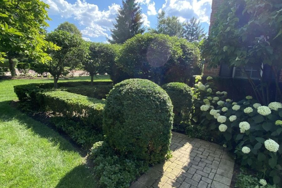 Maintenance Trimming Installation Kenilworth - Landscaping