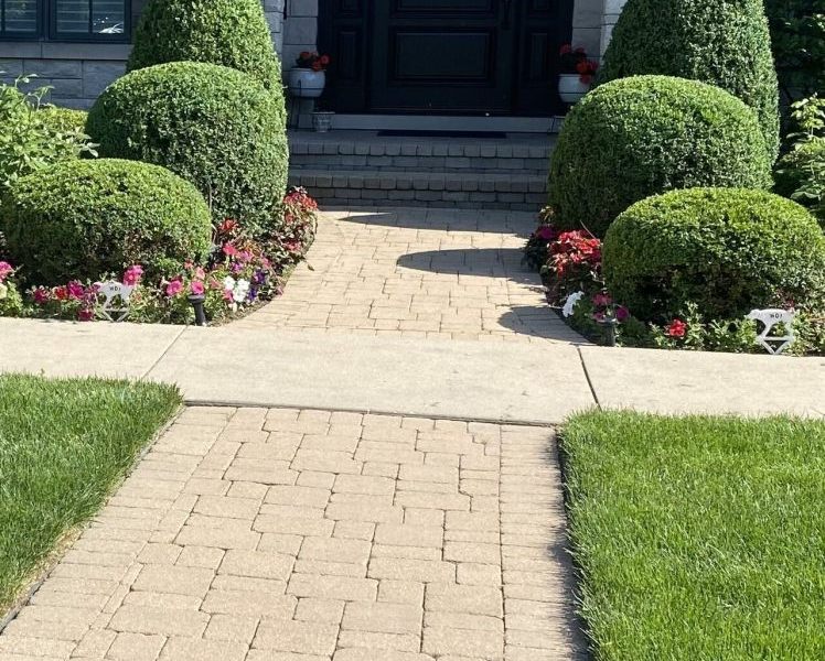 Maintenance Trimming Installation Kenilworth - Landscaping