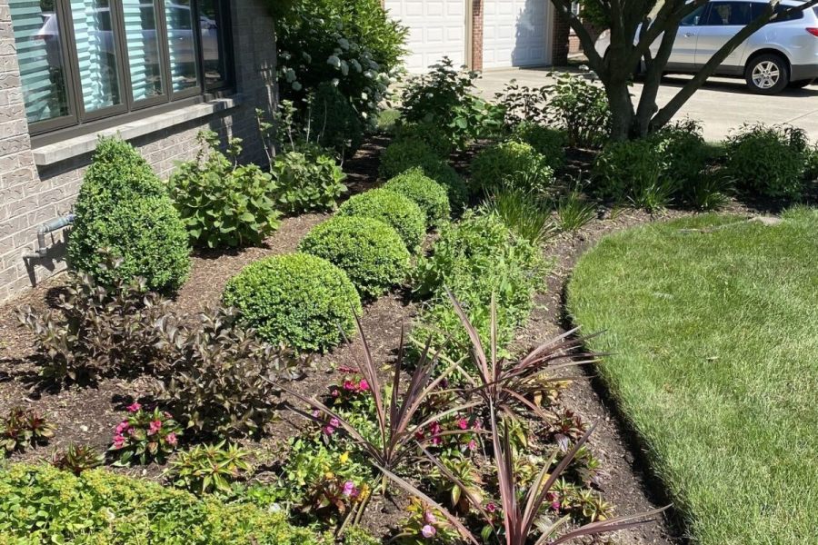 Maintenance Trimming Installation Kenilworth - Landscaping