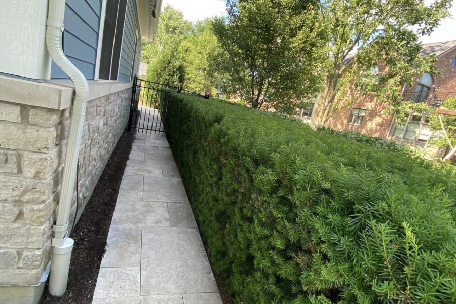 Maintenance Trimming Installation Glencoe - Landscaping