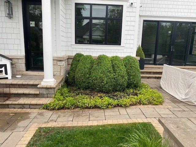 Maintenance Trimming Installation Winnetka - Landscaping