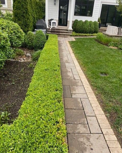 Maintenance Trimming Installation Winnetka - Landscaping