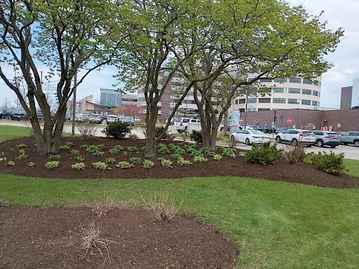 Installation Mulch Winnetka - Landscaping