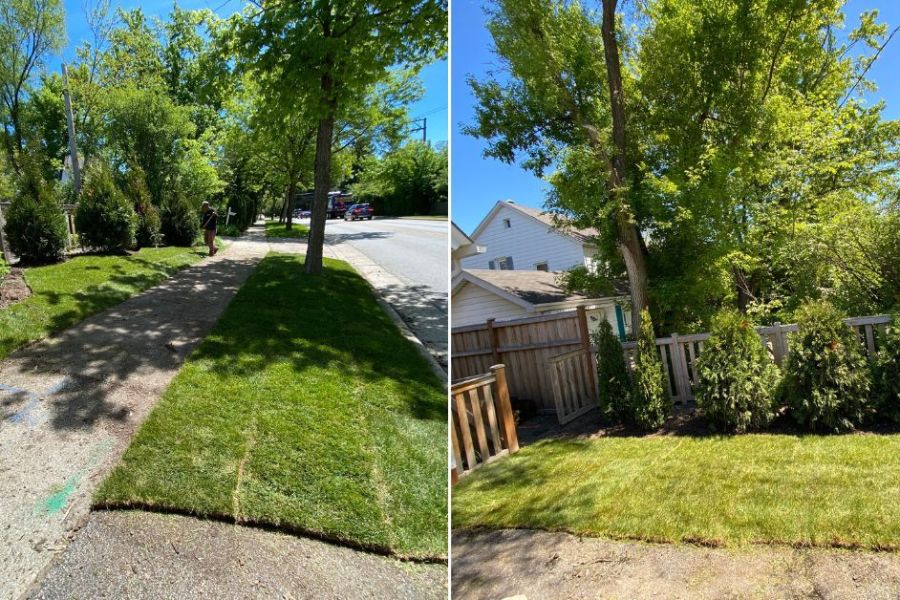 Landscape Installation Northbrook - Landscaping