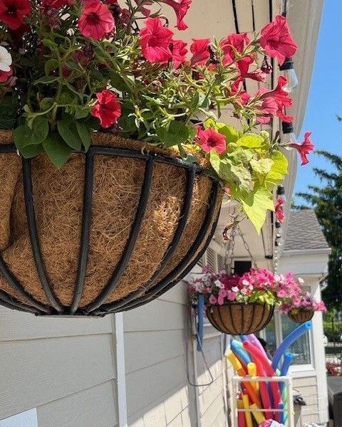 Seasonal Planter Park Ridge - Landscaping