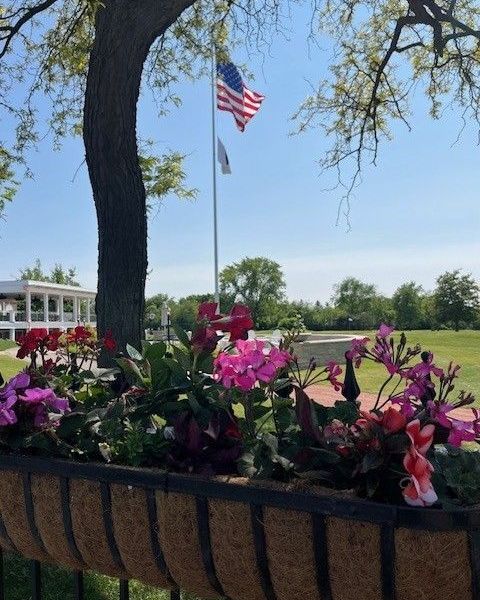 Seasonal Planter Park Ridge - Landscaping