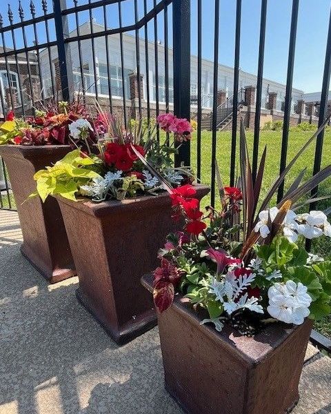 Seasonal Planter Park Ridge - Landscaping