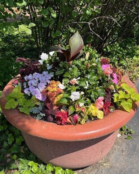 Seasonal Planter Park Ridge - Landscaping