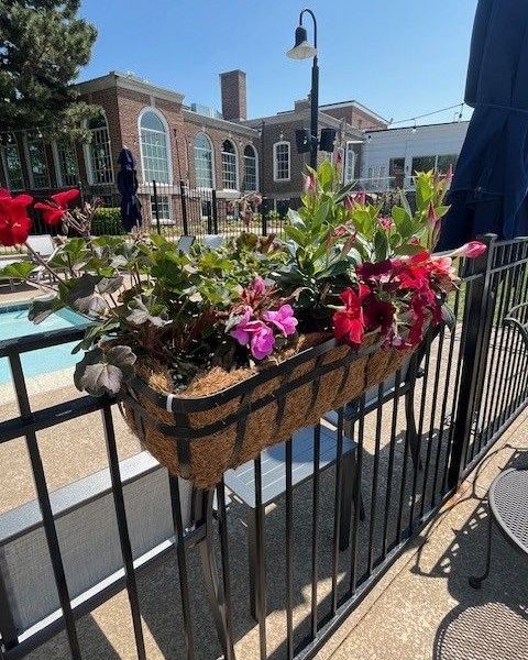 Seasonal Planter Park Ridge - Landscaping