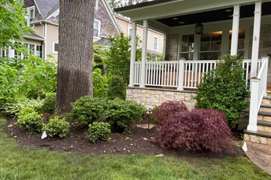 Shrub and Tree Installation - Landscaping