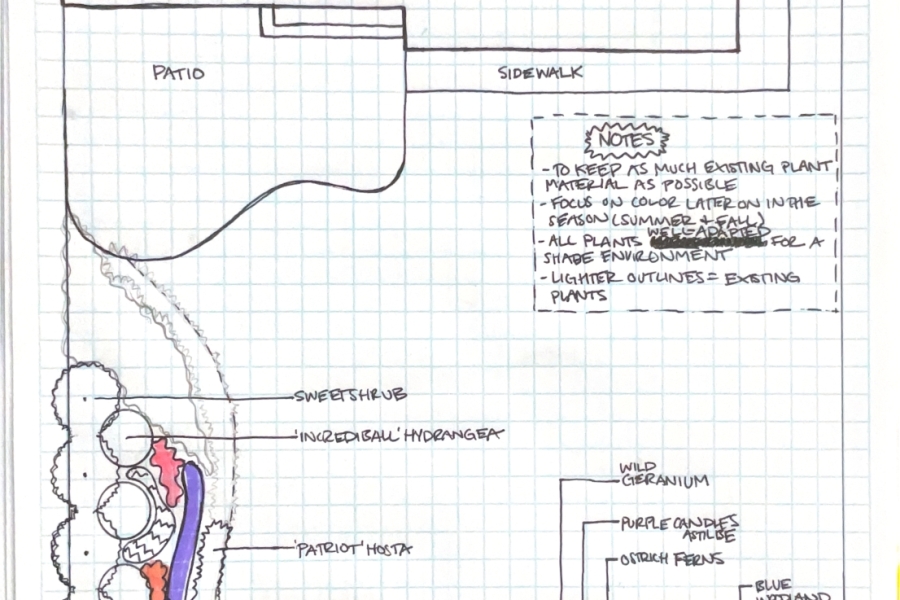 Installation Design Sketch - Landscaping