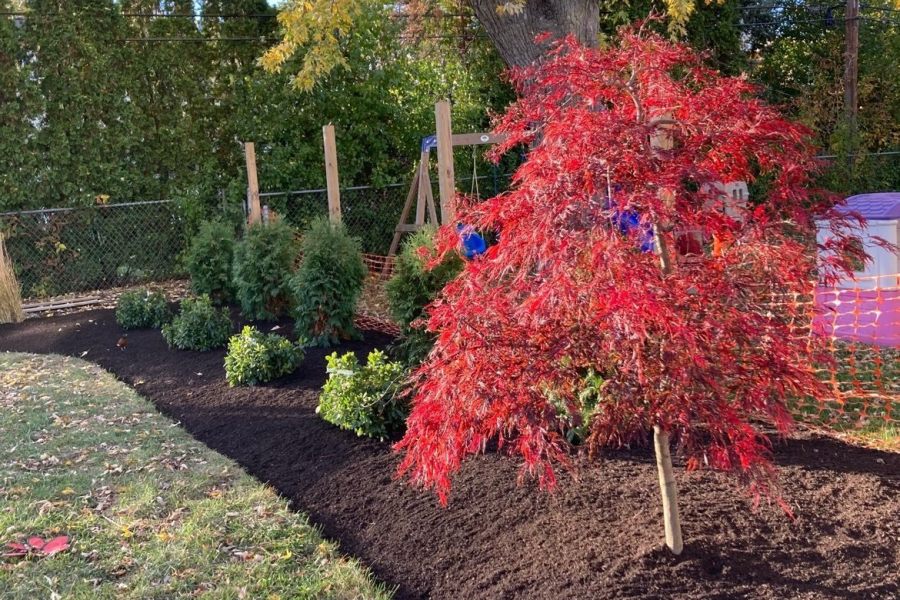 Landscape Mulch Glenview  - Landscaping