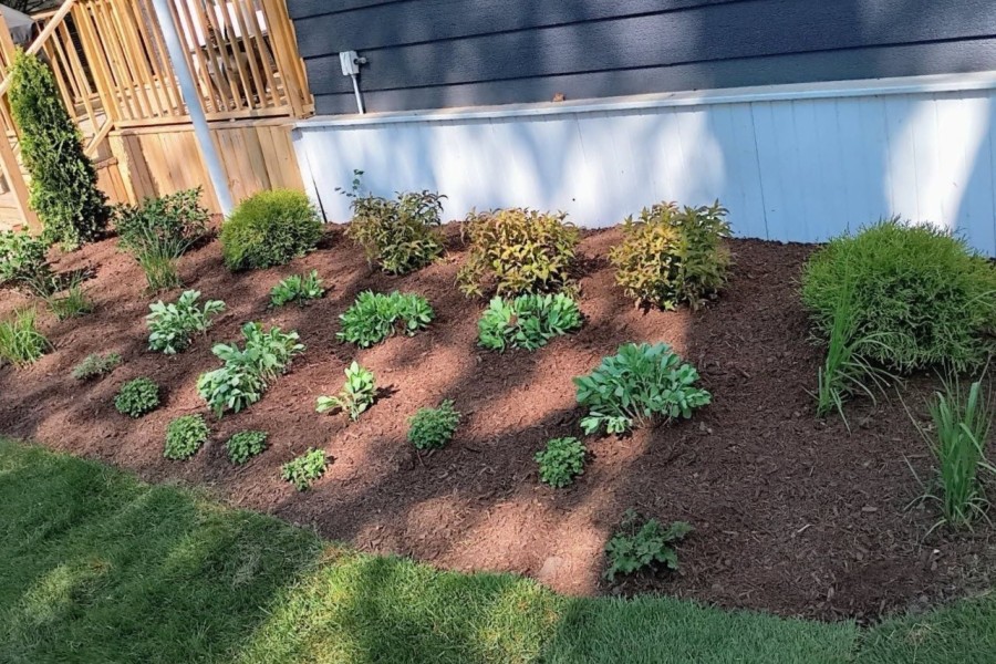 Landscape Mulch Kenilworth - Landscaping