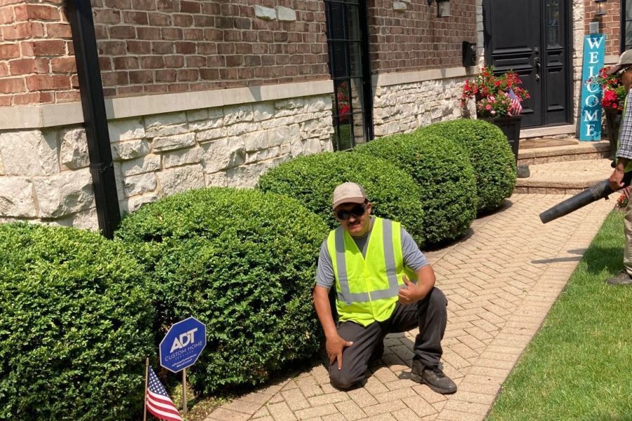 Landscape Trimming Glenview  - Landscaping